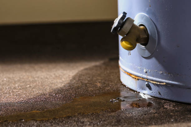 Chickasaw, AL Water damage restoration Pros