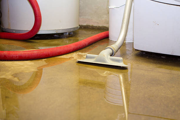 Best Water damage restoration specialists  in Chickasaw, AL