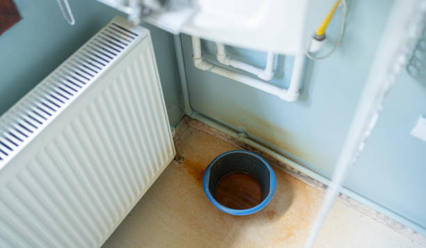 Best Fire Damage Restoration  in Chickasaw, AL