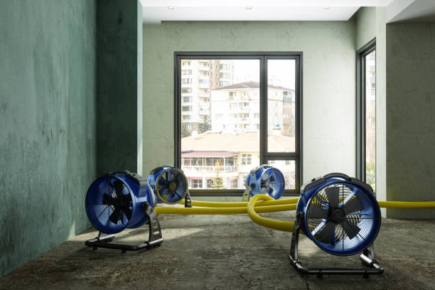 Fire Damage Restoration in AL