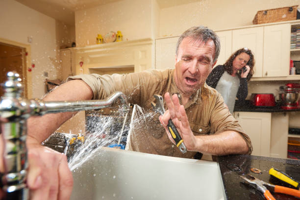 Best Professional water damage repair  in Chickasaw, AL